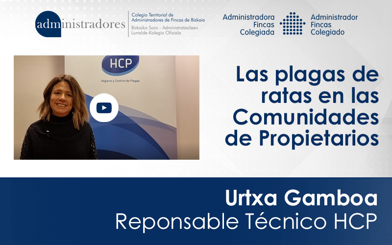 Urtxa Gamboa, Responsable Técnico de HCP nos habla de las plagas de ratas en las comunidades de propietarios